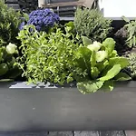 Mit Bergblick & Sauna