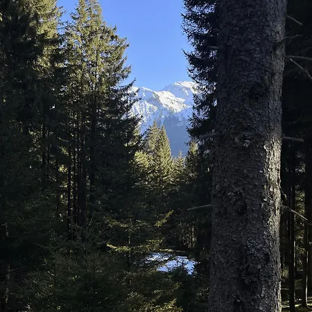 Mit Bergblick&sauna Pill