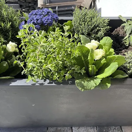 Mit Bergblick & Sauna