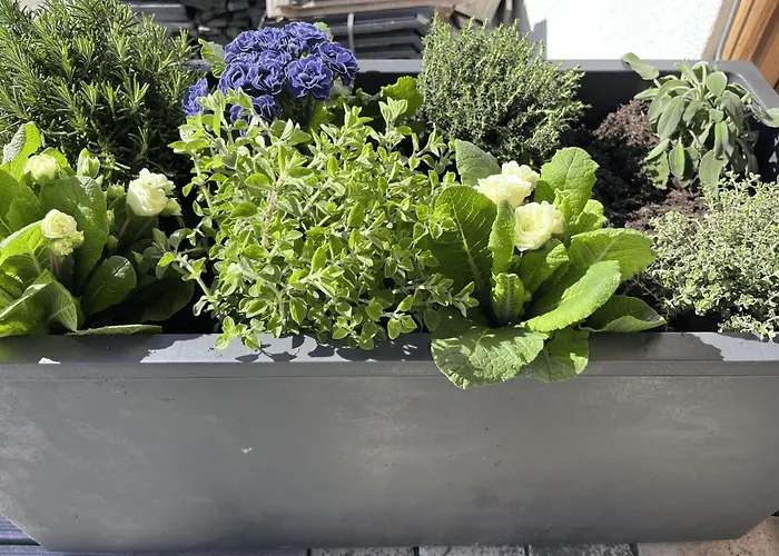 Mit Bergblick & Sauna